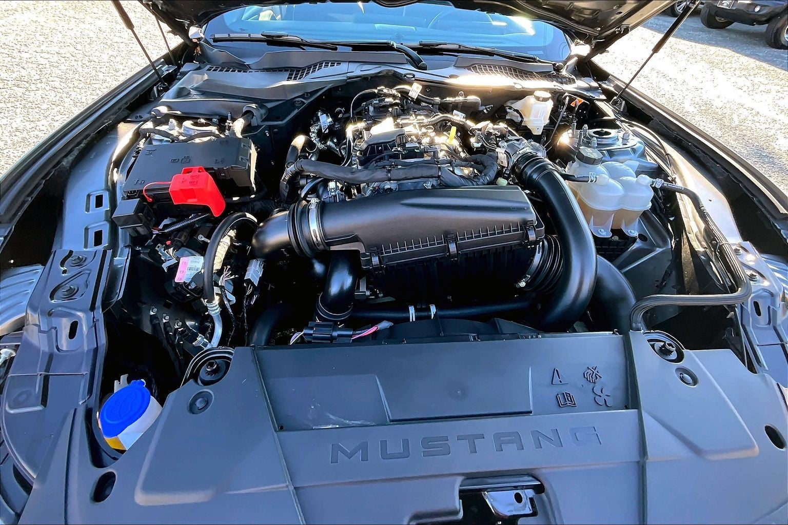 2025 Ford Mustang I4CP