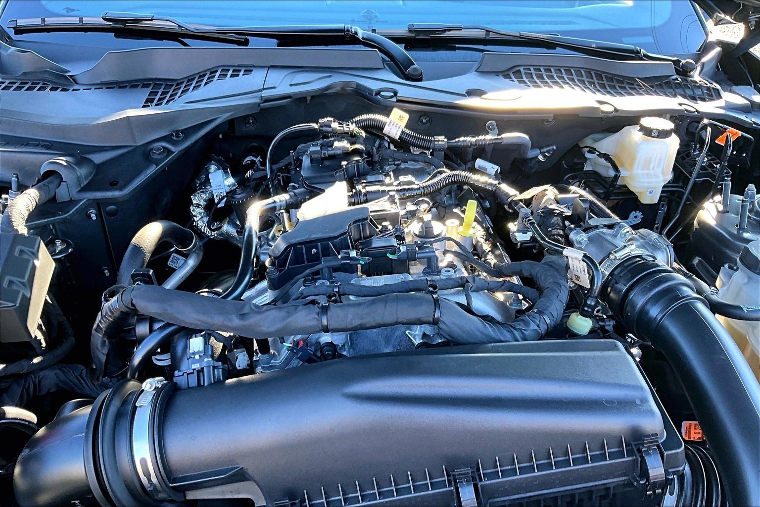 2025 Ford Mustang I4CP