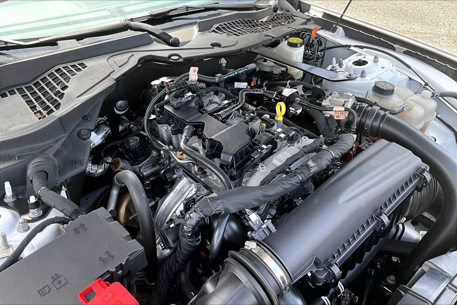 2024 Ford Mustang I4CV