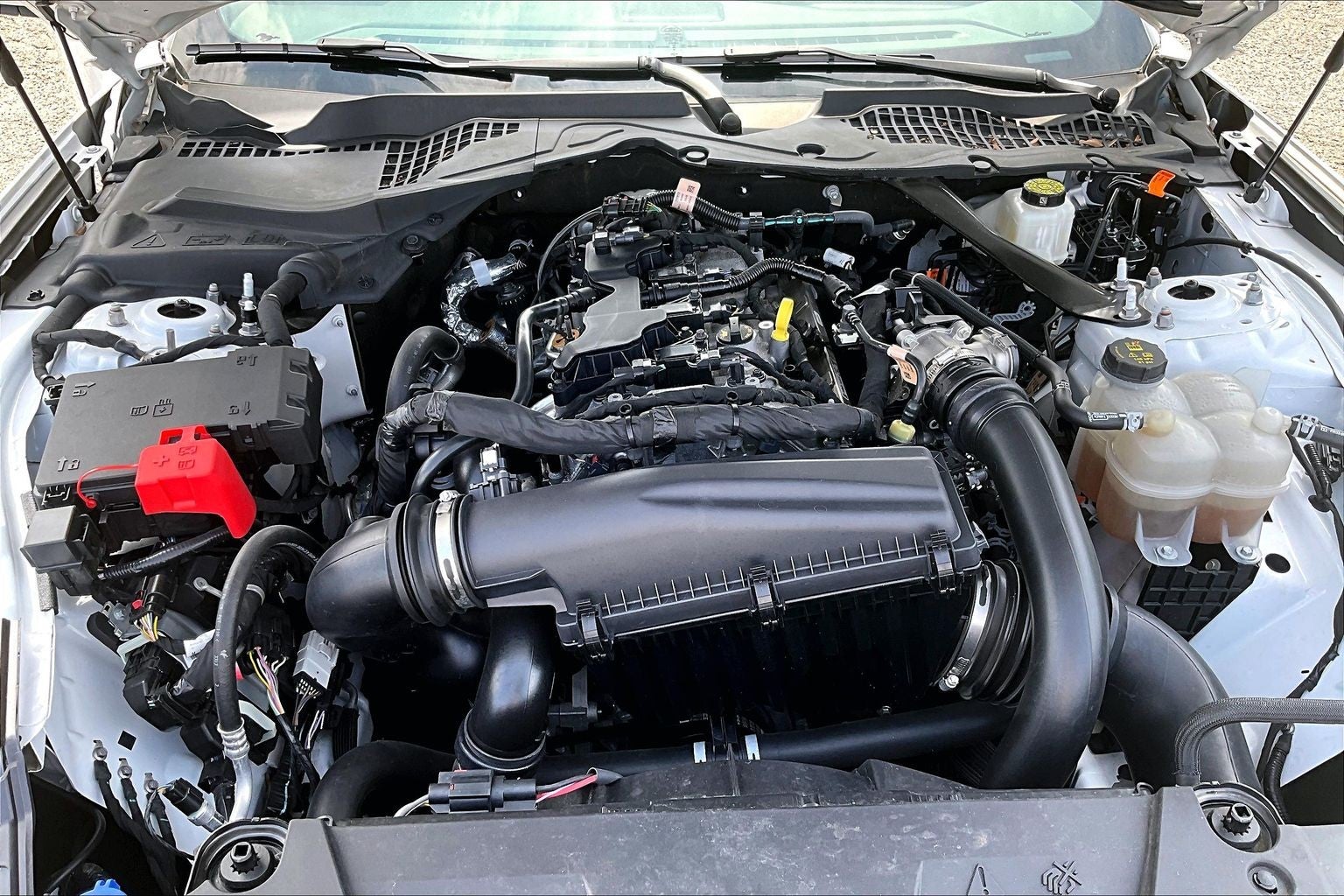 2024 Ford Mustang I4CV