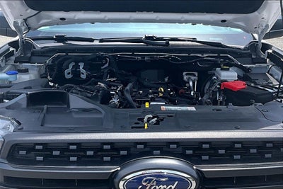 2024 Ford Ranger XL